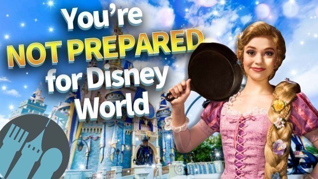 '30 Things You Weren\'t Prepared for in Disney World'