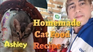 'Homemade Cat Food / Jake Vlog'
