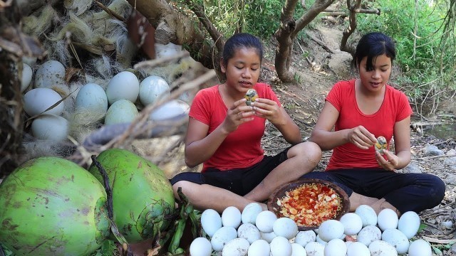 'Find meet Baby eggs duck in jungle for food - Cook Baby eggs duck Coconut water Eating delicious'