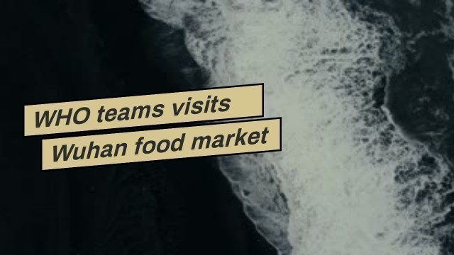 'WHO teams visits Wuhan food market in search of virus clues'