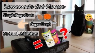 'Super Easy Cat Mousse Recipe | Homemade Healthy Cat Treats'