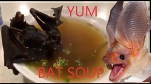 'BAT SOUP IN CHINA [CHINESE BAT SOUP FROM THE WUHAN MARKET]'