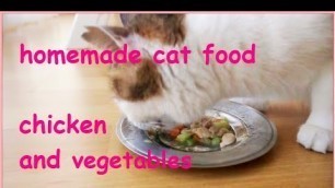 'homemade cat food - boiled chicken and vegetables'