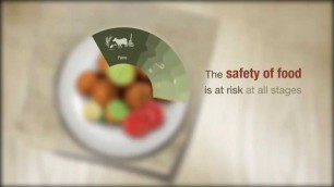 'WHO-EMRO: From farm to plate, make food safe'