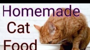 'ചിക്കനും പച്ചക്കറികളും കൊണ്ട് പൂച്ചക്ക് food ഉണ്ടാക്കാം, Homemade cat food for persion cat malayalam'