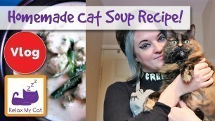 'Homemade Cat Treats! Easy Recipe: Chicken Soup for Cats!'