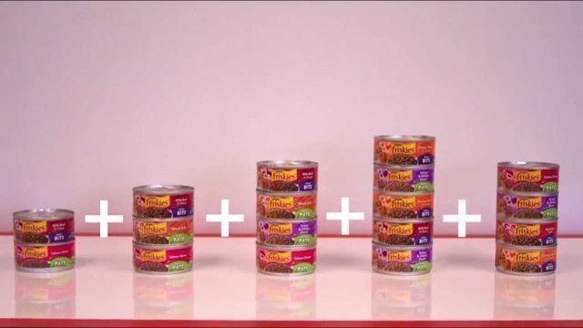 'Recycling Your Cat Food Cans'