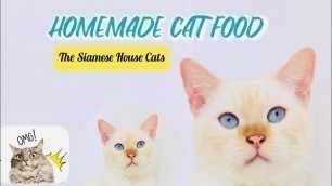 'HOW TO MAKE EASY HEALTHY HOMEMADE CAT FOOD'