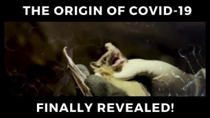 'Origin of CoronaVirus Explained Wuhan Market is Not the Source | CCP Virus Documentary'