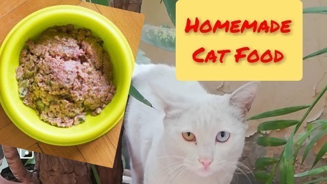 'How to make cat food at home|Homemade cat food|'