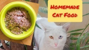 'How to make cat food at home|Homemade cat food|'
