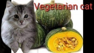 'Vegetarian cat'