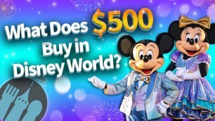 'What Difference Does $500 Make in Disney World?'