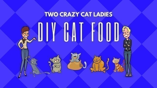 'BEEFIN IT! Homemade Cat Food Recipe | Two Crazy Cat Ladies'