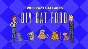 'BEEFIN IT! Homemade Cat Food Recipe | Two Crazy Cat Ladies'