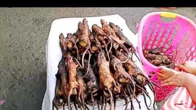 'Wuhan animal market |coronovirus'