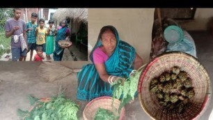 'Grandmother famous recipe | sujuna saag bara recipe | Indian Village Food Factory'