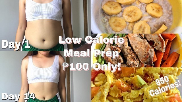 'Easy Low Calorie Meal Plan For ₱100 Only! (835 Calories!)'