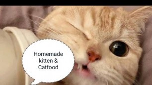 '#Easy_Recipe-How to make catfood/Kitten Food-Easy Homemade Cat Food #CATCARE.'