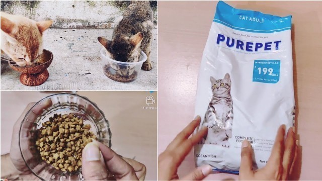 'Purepet Cat Food Review | Best Cat Food In India.'