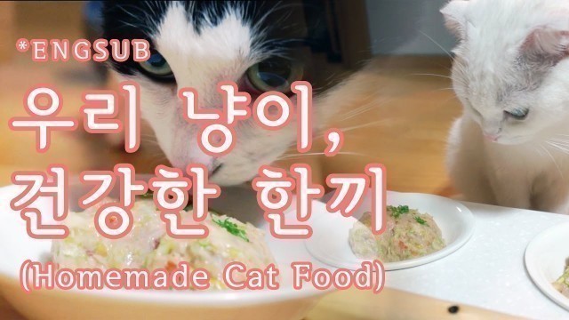 '[은호,고야] 고양이 밥 직접만들기! Homemade Cat Food! ねこまんまを作ろう!'