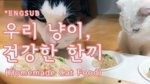 '[은호,고야] 고양이 밥 직접만들기! Homemade Cat Food! ねこまんまを作ろう!'
