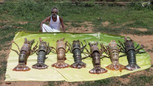 'Classic!!! LOBSTER Indian masala prepared by my daddy Arumugam / Village food factory'