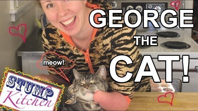 'GEORGE the CAT! Homemade Vegan Cat Treats'