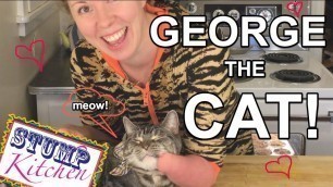'GEORGE the CAT! Homemade Vegan Cat Treats'
