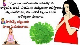 'Munagaaku rasam in telugu/Food for pregnency/Increase Breast Milk/Balintha Pathyam/Benefits Munagaku'