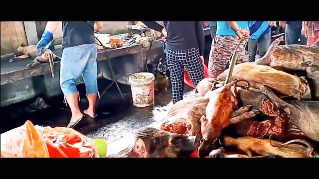 'WUHAN WET MARKET before the outbreak, said to be the origin of the virus.'