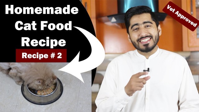 'Healthy- Homemade Cat Food | Cheap Recipe | Balanced Diet | Persian Diet | Vet Furqan Younas'