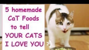 '5 Homemade Cat Foods to Tell Your Cats I Love You'