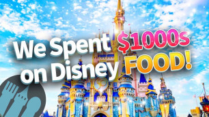 'We Spent $1000s on Disney World Food And This Is What We Learned'