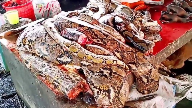 '#Wuhan Meat Market #China #AnimalMarket #CoronaVirus #Outbreak #ExoticFoods #SourceofCoronaVirus'