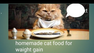'homemade cat food recipe for waight gain challenge in one week.'