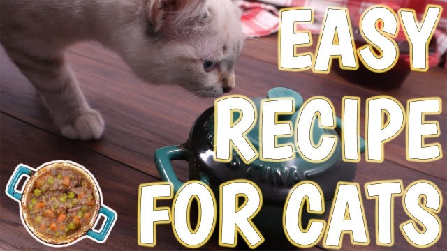 'Easy Homemade Cat Food Recipe !'