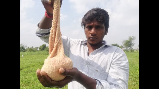 'GOAT INTESTINE Masala Prepared by My Friend in Asur Village Food Factory'