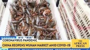 'China reopen Wuhan market amid coronavirus pandemic | The African Press'