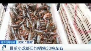 'Wuhan\'s biggest wet market reopens: Footage shows vendors selling live crayfish COVID-19 coronavirus'