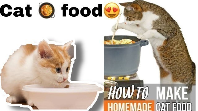 'Homemade cat food recipe |cat food for fast growth | cats n kittens best cat food |spa |grooming'