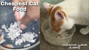 'Cat Food | Tamil | Vinothjustice'