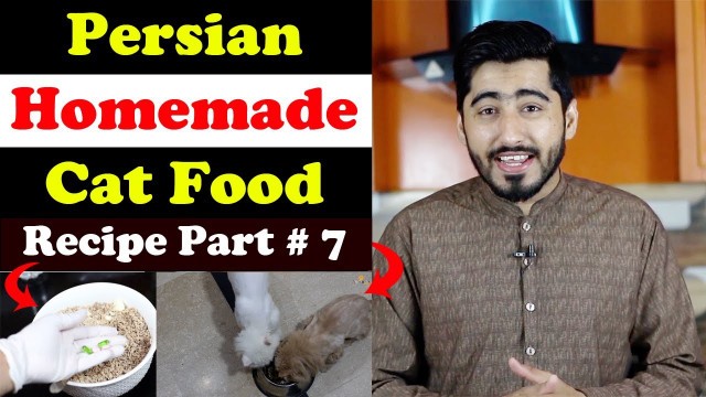 'Persian - Homemade Cat Food Recipe || Healthy & Fluffy coat diet || Vet Furqan Younas'