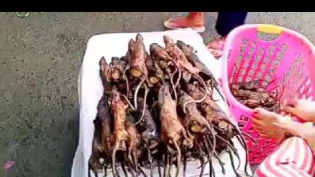 'Wuhan market worst foods ever 