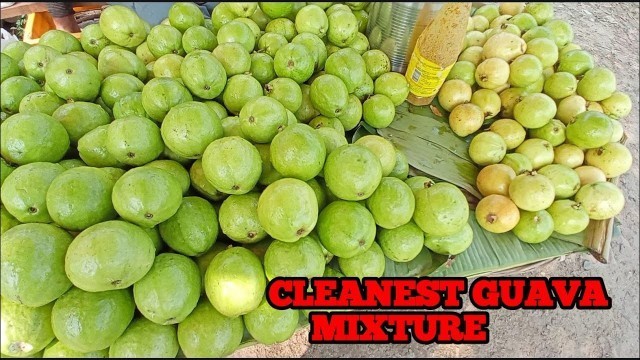 'INDIAS MOST CLEANEST GUAVA MIXTURE | STREET FOOD | INDIAN STREET FOOD'