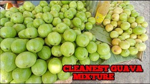 'INDIAS MOST CLEANEST GUAVA MIXTURE | STREET FOOD | INDIAN STREET FOOD'