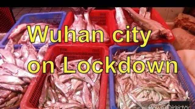'wet market in wuhan - wuhan wet market //before corona virus//  wuhan china'