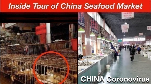 'China Virus Wuhan Coronavirus: Take a inside tour of a real China Seafood market.'