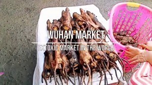 'The Most Exotic Marketing in the World - Wuhan Market (Corona Virus) - চীনের উহানের সেই বাজার'