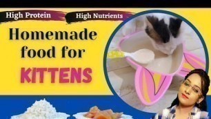 'Homemade Food for kittens / Tamil / healthy kitten food'